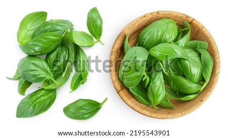 Fresh basil leaf in wooden bowl isolated on white background with full depth of field. Top view. Flat lay Royalty-Free Stock Photo #2195543901