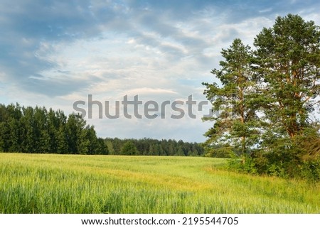Pastoral village landscape in Belarus with dramatic sky and cereal field Royalty-Free Stock Photo #2195544705
