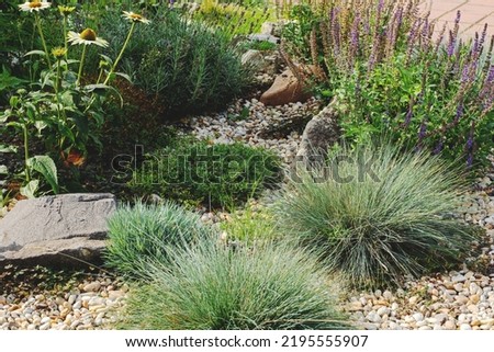Decorated colorful flowerbed with stones as a decorative elements. Landscape design. High quality photo Royalty-Free Stock Photo #2195555907