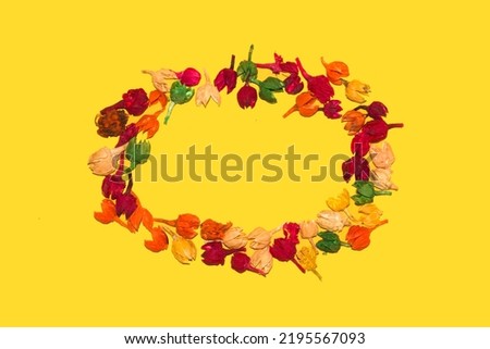 dry potpourri frame in ellipse shape on yellow background, flat lay, copy space Royalty-Free Stock Photo #2195567093
