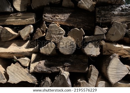 A pile of cut wood is arranged, with a log in the center.