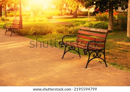 Wooden bench in the city park.Summer season. High quality photo