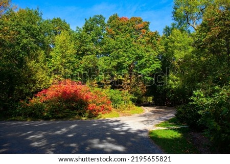 Magnificent park. Dirt paths and public benches. Colorful trees in autumn foliage.  Huge scenic park in Montreal. Canada. 