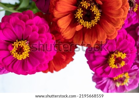 Bouquet of pink and red gerbera daisy flowers on white table background. Top view, copy space.  Colorful gerber autumn flowers. Natural floral background