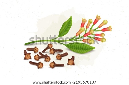 Dried Brown clove with clove plant vector illustration isolated on white background Royalty-Free Stock Photo #2195670107