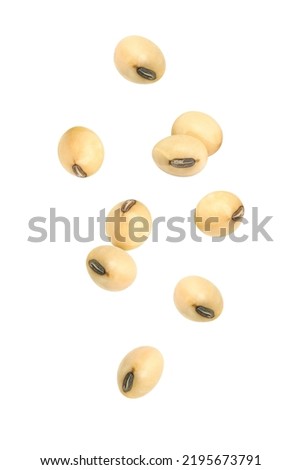 Soybean flying in the air isolated on white background. Royalty-Free Stock Photo #2195673791