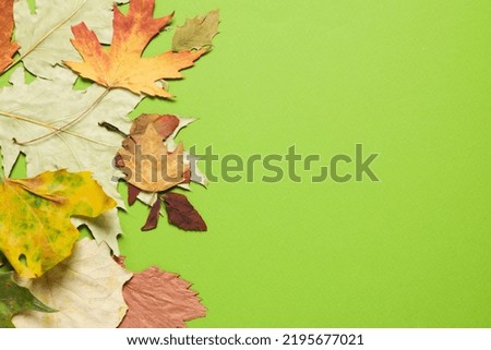 Concept of Autumn, autumn leaves on green background, space for text