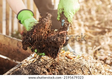 Compost with Worms from Organic Waste on Compost pile. Bio Humus, Zero Waste, Eco Friendly, Organic Waste Recycling Concept. Close up.