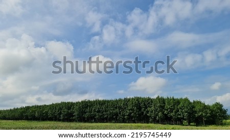 Clean white clouds float in the bright blue sky above the dense tree line and green fields.