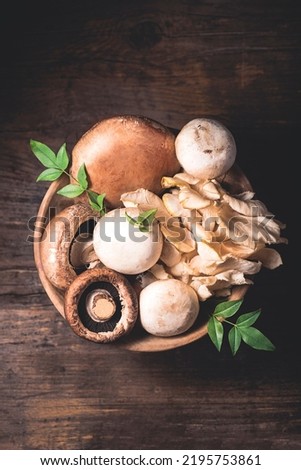 Variety of raw mushrooms on the wooden antique table, dark key atmosphere. Autumn recipes,  natural organic eco food, vegetarian proteins. Oyster mushroom, Portobello Mushrooms, Champignons. Close up