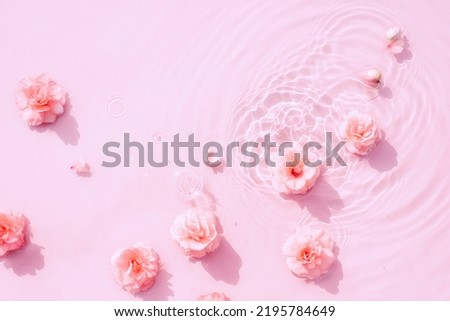 Summer background with pink roses in water with drops. Minimal natural abstract backdrop