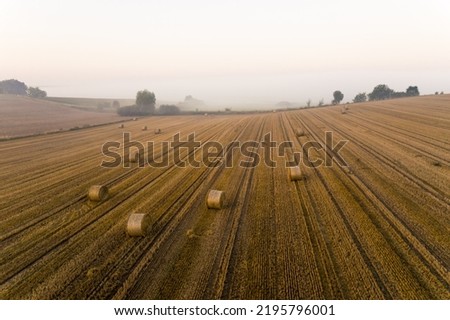 Golden-brown field with hay bales with foggy blurred background and tree silhouettes. Morning farm landscape. Horizontal shot. High quality photo