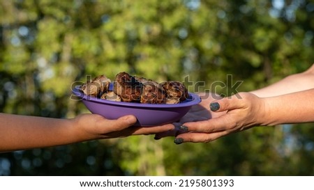 A treat in the form of a plate with fried meat in a person's hand. Background picture.