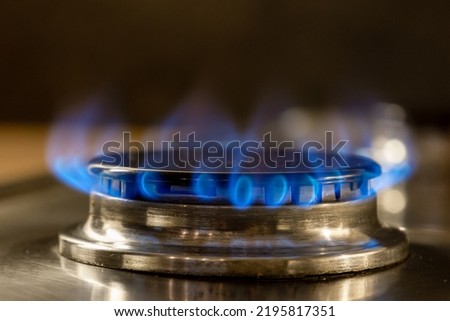 Burning natural gas on a gas stove is a clean fossil fuel that causes high energy bills for households Royalty-Free Stock Photo #2195817351