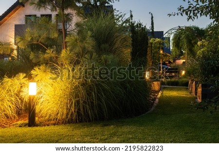 Elegant Illuminated by LED Lights Residential Backyard Garden with Mature Decorative Grasses.  Royalty-Free Stock Photo #2195822823