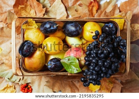 autumn background with apples, pears, plums, grapes, leaves and basket.
