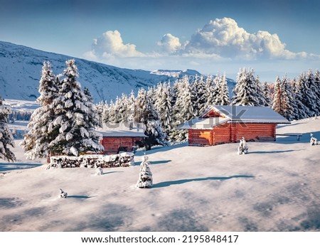 Frosty winter view of Alpe di Siusi village. Bright landscape of Dolomite Alps. Snowy outdoor scene of ski resort, Ityaly, Europe. Traveling concept background.
