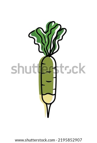 Daikon radishes for banners, flyers, posters, cards. Whole daikon radish. Root vegetables. Japanese Radon, White Chinese Radish, mooli, White Radish. Vector illustration Royalty-Free Stock Photo #2195852907