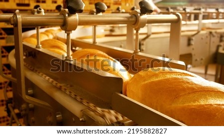 Freshly baked bread, baguette goes along the tape for loading in the workshop of the bakery  Royalty-Free Stock Photo #2195882827