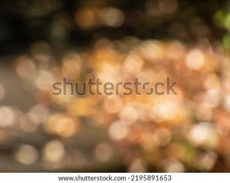 Golden bokeh effect and purposely blurred view of sunlight. Warm and cosy feeling. Blurry soft colored background with photographic bokeh effect in beautiful warm, golden and brown tones