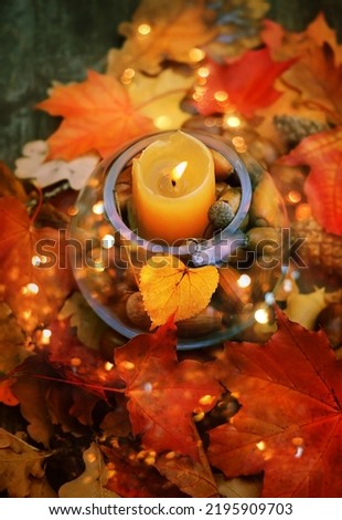 autumnal leaves, cones, acorns and candle in glass lantern on abstract background. fall season. decor for mabon, halloween, thanksgiving holiday. top view. Royalty-Free Stock Photo #2195909703