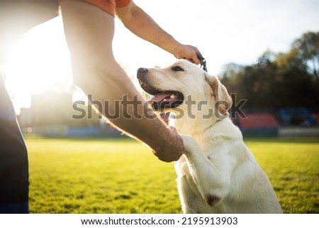 Time to study.Man training his dog. Royalty-Free Stock Photo #2195913903