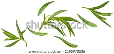 Falling tarragon leaves isolated on white background Royalty-Free Stock Photo #2195970535