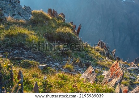 Colorful mountain scenery on abyss edge with sharp stones among green flora in sunlight. Sunny view from cliff at very high altitude. Scenic alpine landscape with beautiful sharp rocks in sunshine. Royalty-Free Stock Photo #2195989039