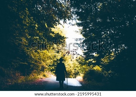 Mysterious man with hat and a walking stick walking through a fairytale forest