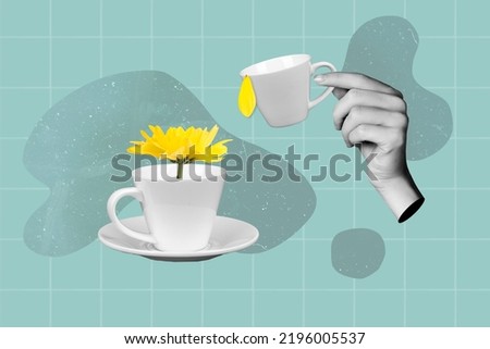 Collage photo of yellow flower cup drink hands holds coffee isolated on blue paint color background