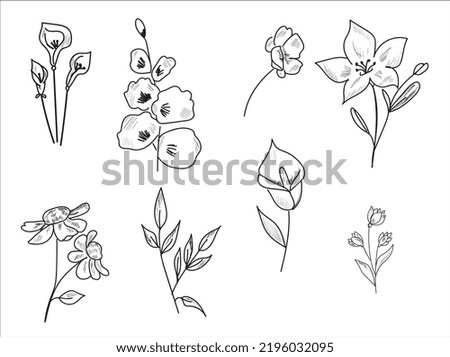 hand pencil drawings of flowers