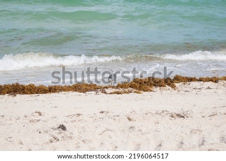 Miami beach editorial photography south beach
