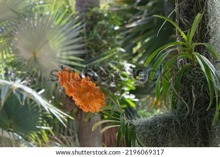 Miami beach editorial photography botanical park 