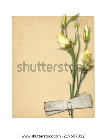 Set of old archival papers and vintage postcard with bouquet of beautiful roses isolated on white background