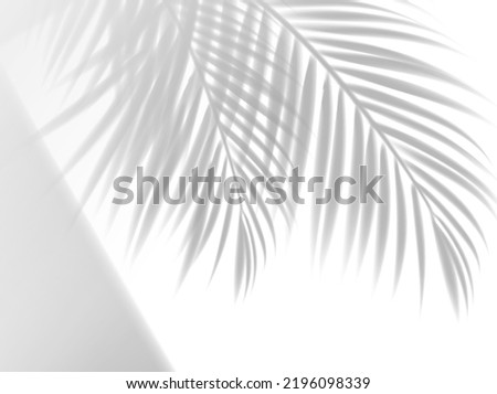 Palm leaves shadow background overlay effect with vector shade of summer tropical tree branches and window light on white wall, floor or ceiling. Sunlight and areca palm foliage overlay shadow Royalty-Free Stock Photo #2196098339