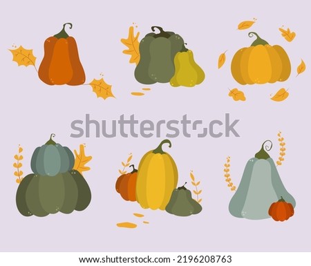 Set of cartoon colorful pumpkins. Halloween and thanksgiving vector symbol. Flat illustration of autumn harvest elements of squash with leaves