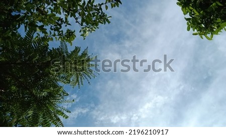 photo of trees and sky and clouds
