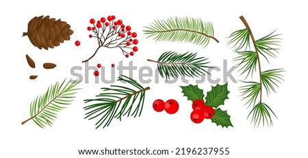 Christmas vector plant, pine cone, branch spruce and fir, evergreen tree, holly berry, rowan isolated on white background. Cartoon holiday nature illustration Royalty-Free Stock Photo #2196237955