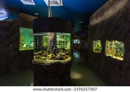 Round large aquarium with tropical fish Royalty-Free Stock Photo #2196257307