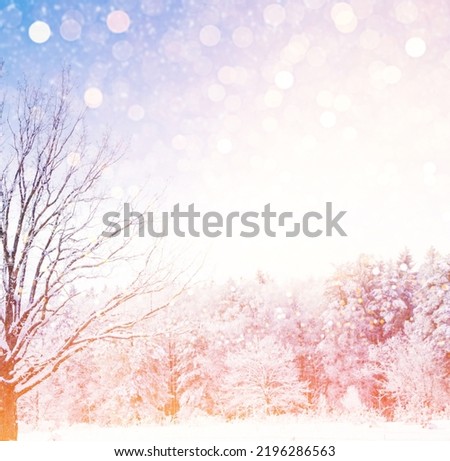 Blurred. Frozen winter forest with snow covered trees. outdoor