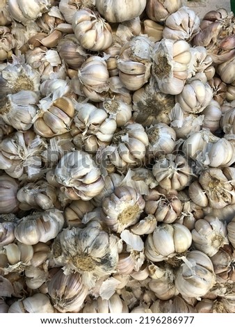Seen pictures of garlic in large quantities. Garlic is a type of tropical onion that is often used for cooking. Garlic is the main ingredient in cooking.