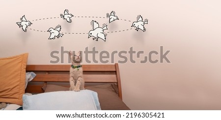 Small light brown baby kitten standing on the pillow of the bed looking up looking at little birds that turn their heads drawn in black line