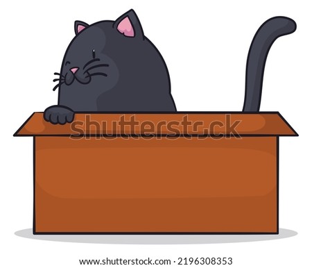 Playful black cat winking at you while it plays inside a cardboard box.