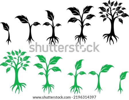 A black tree silhouette on a white background. set of trees of different sizes, and ages. high, low trees, pine.
