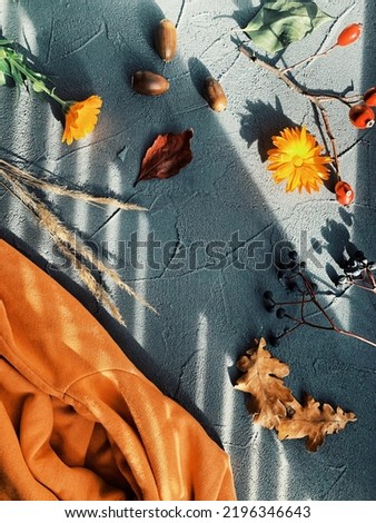 Autumn Flat lay background composition inspired by fall. With sweater, notebook, oak leaves, orange flowers, perfume, acorns, Dog Rose branch, and dry branches. Cozy autumn concept. Top view, flat lay
