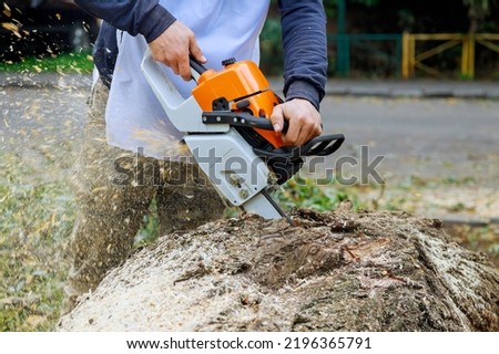 Following a violent storm, a municipal worker cuts down a broken tree in forest Royalty-Free Stock Photo #2196365791