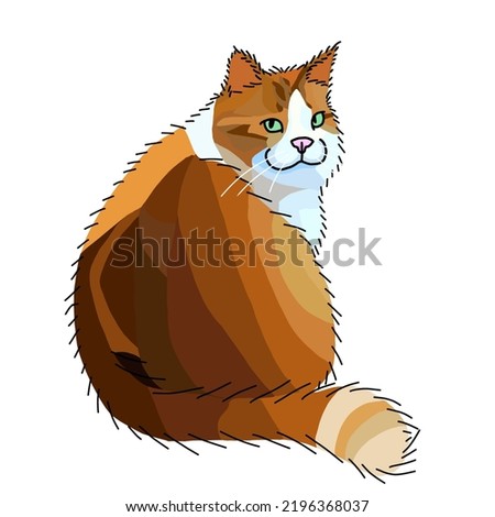 Funny brown cat sits and looks back on a white background