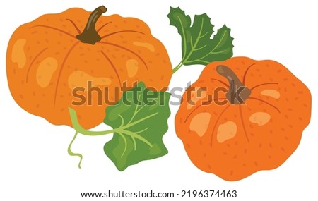 Two orange pumpkins with leaves. Hand drawn vector illustration. Suitable for website, postcards, stickers.