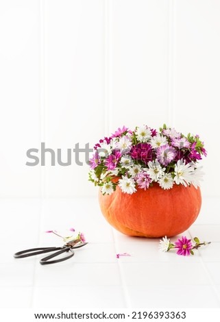 Easy handmade home decoration for Thanksgiving Day. Beautiful florist arrangement with colorful aster flowers in a pumpkin vase.  (Genus) Selective focus. Copy space.