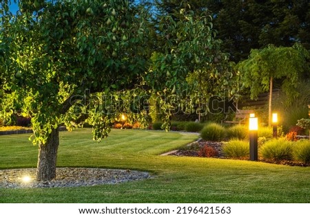 Large Pear Tree Growing in the Middle of Professionally Landscaped Backyard Garden. Evenly Mowed Lawn with Well-Kept Plants Around. Evening Time. Royalty-Free Stock Photo #2196421563